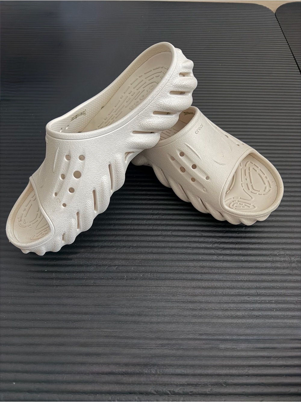 CROCS Echo Slides